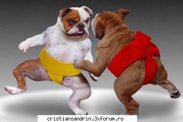cum isi ingroapa oltenii mortii? cum isi ingroapa oltenii mortii? picioare pana glezna ,ii dau var